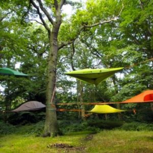 Basecamp West Tentsile