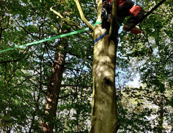 Bygning af Highrope bane