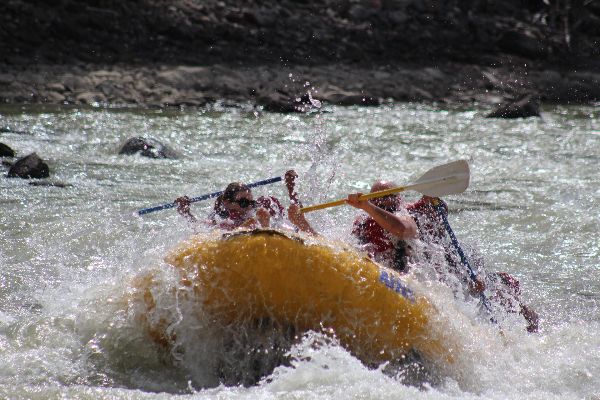 Rafting Norge Elve