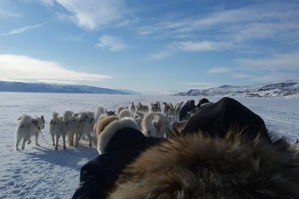 Grønland hundeslædetur