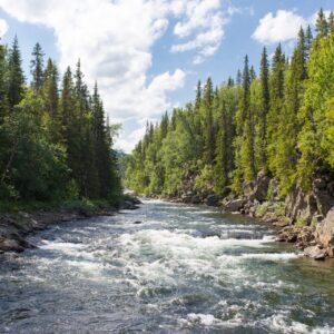 Syd Norge rafting