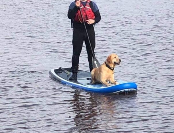 FB_IMG_1733651048922